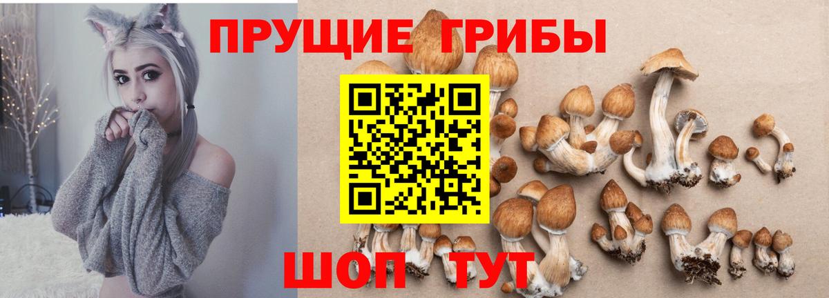 Черкесск  Галлюциногенные грибы Magic Shrooms  Галлюциногенные грибы мухоморы  Вход с VPN 